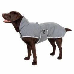 TIAKI Hundemantel Sparkneu -Günstiges Kornfrei Futter Geschäft 360996 tiaki spark 60cm fg 0808 9