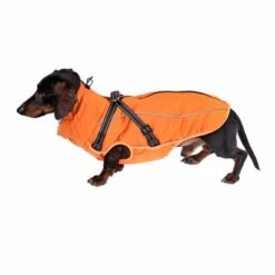 TIAKI Hundemantel Mit Geschirr Arkon, Orangeneu -Günstiges Kornfrei Futter Geschäft 361405 harness arkon 35cm fg 9643 3