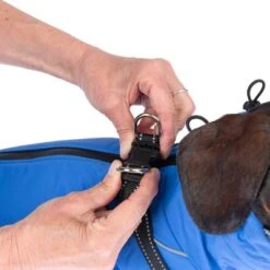 TIAKI Hundemantel Mit Geschirr Arkon, Blauneu -Günstiges Kornfrei Futter Geschäft 361696 harness arkon 40cm fg 9650 5