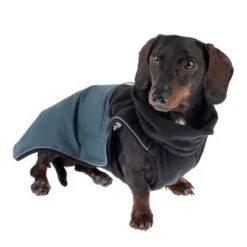 TIAKI Hundemantel Warmup Pro Skyneu -Günstiges Kornfrei Futter Geschäft 370296 warmup pro sky 40cm fg 0232 9