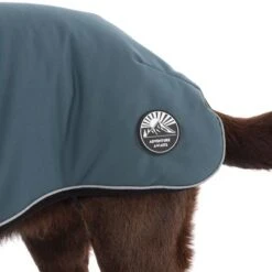 TIAKI Hundemantel Warmup Pro Skyneu -Günstiges Kornfrei Futter Geschäft 370298 warmup pro sky 60cm fg 0039 6