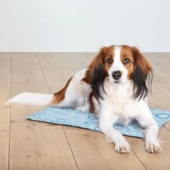 Trixie Kühlmatte Drops 15 Trixie Kühlmatte Drops -Günstiges Kornfrei Futter Geschäft 372299 trixie kuehlmatte hs 07 8