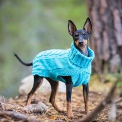Rukka® Hundepullover Wooly, Türkisneu -Günstiges Kornfrei Futter Geschäft 383811 383812 383813 383814 383815 rukka wooly strickwaren turkis hs 05 2