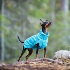 Rukka® Hundepullover Wooly, Türkisneu -Günstiges Kornfrei Futter Geschäft 383811 383812 383813 383814 383815 rukka wooly strickwaren turkis hs 06 4