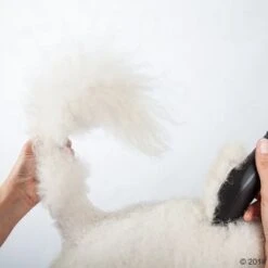 Schermaschine Moser Max50 -Günstiges Kornfrei Futter Geschäft 465281 schermaschine moser max 50 02 0