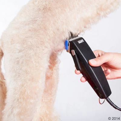 Schermaschine Moser Rex 13 Schermaschine Moser Rex – Bild 11