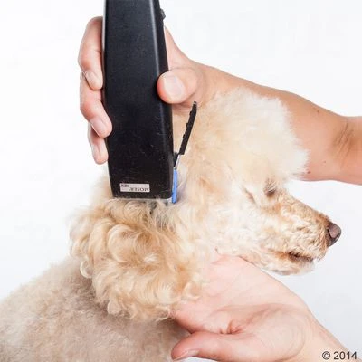 Schermaschine Moser Rex 12 Schermaschine Moser Rex – Bild 10