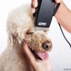 Schermaschine Moser Rex 22 Schermaschine Moser Rex -Günstiges Kornfrei Futter Geschäft 465375 schermaschine moser rex 04 0