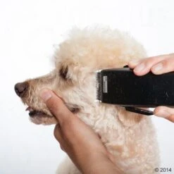 Schermaschine Moser Rex 21 Schermaschine Moser Rex -Günstiges Kornfrei Futter Geschäft 465375 schermaschine moser rex 05 2