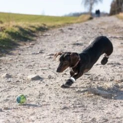 Hundeschuhe S & P Boots -Günstiges Kornfrei Futter Geschäft 52149 hundeschuhe xs fg 0967 9