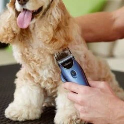 Oster Heimtierschermaschinen-Set 220 V -Günstiges Kornfrei Futter Geschäft 53731 osterheimtierschermaschinen hs 10 1