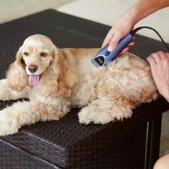 Oster Heimtierschermaschinen-Set 220 V -Günstiges Kornfrei Futter Geschäft 53731 osterheimtierschermaschinen hs 12 3