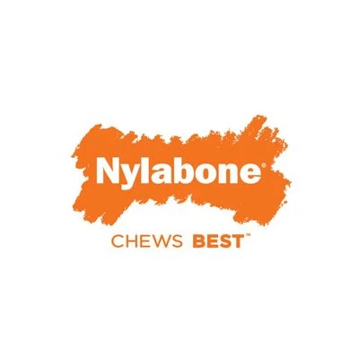 Nylabone Adult X-Bone Kauspielzeug 8 Nylabone Adult X-Bone Kauspielzeug – Bild 6