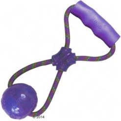 KONG Squeezz Ball Mit Griff -Günstiges Kornfrei Futter Geschäft 60977 kong large squeezz ball with handle purple 2