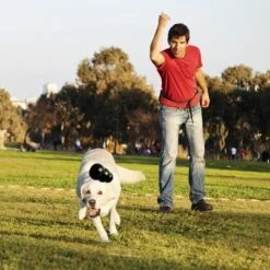 KONG Extreme -Günstiges Kornfrei Futter Geschäft 74319 kongextremeschwarz hs 02 0