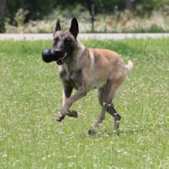 KONG Extreme -Günstiges Kornfrei Futter Geschäft 74319 kongextremeschwarz hs 04 9