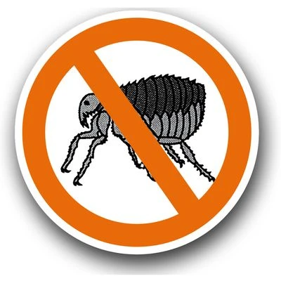 Ardap Care ARDAP Anti Floh Shampoo 4 Ardap Care ARDAP Anti Floh Shampoo – Bild 2