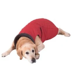 Hundemantel Steppmuster -Günstiges Kornfrei Futter Geschäft 81645 hundemantel steppmuster hund fg 8625 gespiegelt 3