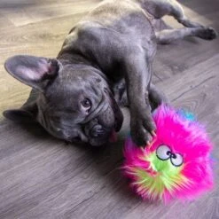 GoDog® Furballz Regenbogen -Günstiges Kornfrei Futter Geschäft 84956 godog furballzregenbogen hs 06 0