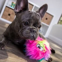 GoDog® Furballz Regenbogen -Günstiges Kornfrei Futter Geschäft 84956 godog furballzregenbogen hs 08 4