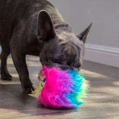 GoDog® Furballz Regenbogen -Günstiges Kornfrei Futter Geschäft 84956 godog furballzregenbogen hs 09 4