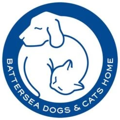 Pet Teezer De-shedding Brush Small -Günstiges Kornfrei Futter Geschäft 99699 newflag petteezer desheddingbrush purple hs 06 4