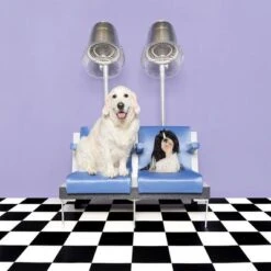 Pet Teezer De-shedding Brush -Günstiges Kornfrei Futter Geschäft 99699 newflag petteezer desheddingbrush purple hs 09 3