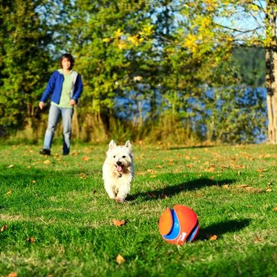 Chuckit! Kick Fetch 5 Chuckit! Kick Fetch – Bild 3