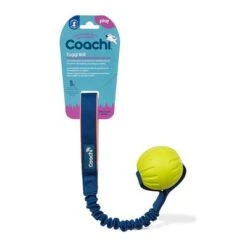 Coachi Hundespielzeug Tuggi Ballneu -Günstiges Kornfrei Futter Geschäft coachi tuggiball online image1 9