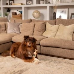 Pet Head Sensitive Soul -Günstiges Kornfrei Futter Geschäft companyofanimals pethead sensitivesoul set3teilig hs 08 9