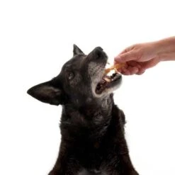 Trixie Kaurollen Gedreht (Rinderhaut), 12 Cm -Günstiges Kornfrei Futter Geschäft dsc2571 9