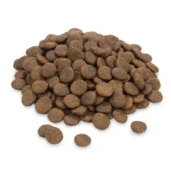 Greenwoods Pute Mit Süßkartoffeln, Erbsen Und Kürbis -Günstiges Kornfrei Futter Geschäft greenwoods dog turkey 1 web 7