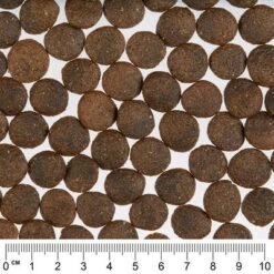 Greenwoods Pute Mit Süßkartoffeln, Erbsen Und Kürbis -Günstiges Kornfrei Futter Geschäft greenwoods dog turkey 2 web 9