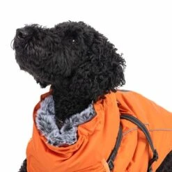 TIAKI Hundemantel Mit Geschirr Arkon, Orangeneu -Günstiges Kornfrei Futter Geschäft harness arkon 55cm fg 9730 2