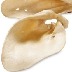 Premium Rinderohren Aus Bayern Und Österreich -Günstiges Kornfrei Futter Geschäft premium rinderohren bayern 5