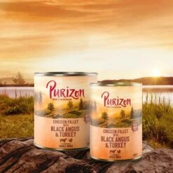 Purizon Adult 6 X 400 G -Günstiges Kornfrei Futter Geschäft purizon idcard wet blackangus 1000x1000 3