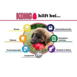 ​​​​​​​2 Stück KONG Extreme Spielzeug + 180 G Wolf Of Wilderness Wild Bites Snack Gratis! -Günstiges Kornfrei Futter Geschäft solution de 8