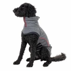 TIAKI Hundepullover Snugneu -Günstiges Kornfrei Futter Geschäft tiaki snug 50cm fg 0269 1