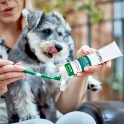 Vet's Best® Zahnpflege Set Für Hunde -Günstiges Kornfrei Futter Geschäft v317310 vetsbest dentalcare kit hs 07 5