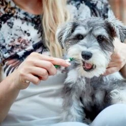 Vet's Best® Zahnpflege Set Für Hunde -Günstiges Kornfrei Futter Geschäft v317310 vetsbest dentalcare kit hs 09 3