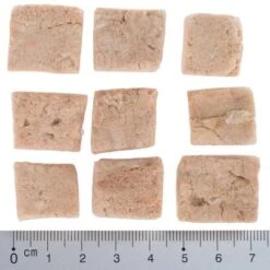 Sparpaket Wolf Of Wilderness - RAW Snacks (gefriergetrocknet) 28 Sparpaket Wolf Of Wilderness - RAW Snacks (gefriergetrocknet) -Günstiges Kornfrei Futter Geschäft wow fd snack blue river cubes with ruler 4 2