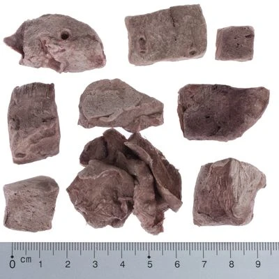 Sparpaket Wolf Of Wilderness - RAW Snacks (gefriergetrocknet) 11 Sparpaket Wolf Of Wilderness - RAW Snacks (gefriergetrocknet) – Bild 9