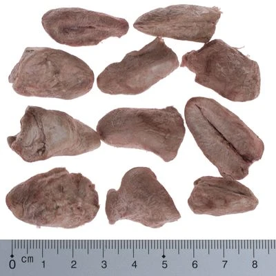 Sparpaket Wolf Of Wilderness - RAW Snacks (gefriergetrocknet) 7 Sparpaket Wolf Of Wilderness - RAW Snacks (gefriergetrocknet) – Bild 5